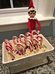 A chocolate pop on a candy cane stick with micro marshmallows make a candy cane hot cocoa pop for rich peppermint hot cocoa or a great edible gift idea (with printable labels)! Fun Elf Idea Magic Candy Cane Christmas Garden Free Printable Poem Mama Cheaps