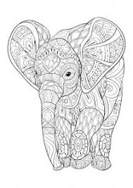 Elephant mandala coloring pages gallery. Elephants Coloring Pages For Adults