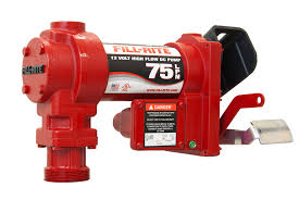 Fill Rite Fr4205ge 12v 75 Lpm Fuel Transfer Pump Pump Only