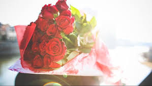 Bunga valentine is on facebook. Kado Valentine Terindah Seikat Bunga Dari Surga