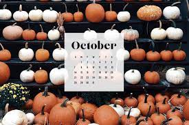 Pin On Fall Vibes
