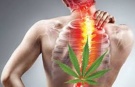 Medial Cannabis – Minnesota Institute For Pain Management