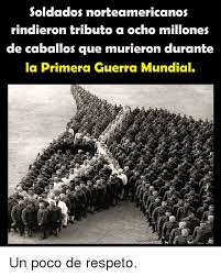 Ww1 - Meme by Tricky44 :) Memedroid