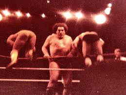 Andre The Giant At Hamburg, Pa Field House