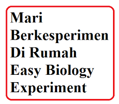 Check spelling or type a new query. 4 Percobaan Biologi Berikut Bisa Kamu Lakukan Di Rumah Your Chemistry A