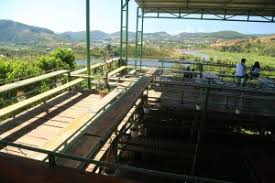 Me linh is a small plantation in the mountainous countryside near dalat. Dalat Vietnam City Of Flowers And Fun Dave S Travel Corner Bvä¼Ÿå¾·appä¸‹è½½ ä¼Ÿå¾·å›½é™…19463333 ä¼Ÿå¾·ç½'