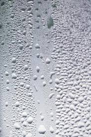 How To Install A Moisture Barrier On The Ceiling In 2020 With Images Warm Mist Humidifier Mold In Bathroom Window Condensation
