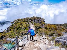 Climbing Mount Kinabalu A Comprehensive Guide Laugh Travel Eat