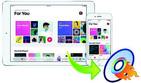 How to purchase a song on apple music. How To Burn Apple Music Songs To Cd Noteburner