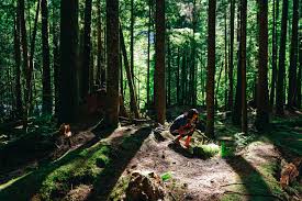 Be the first to review this attraction. Alice Lake Provincial Park And Squamish Area Bc Road It Up