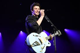 Natural wonders of northern michigan through art and writing. Shawn Mendes Fans Wonder Why He Paints Just One Fingernail