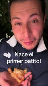 El primer pato a nacido! #duck #pato #babyduck #bebepato #hatch #hatching  #naciendo #babyanimals #babyanimal #bebeanimal #farm #duckling #catholic  #catholicpriest #sacerdotecatolico #sacerdote