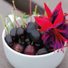 Perfect For Smoothies Fuchsia Berry Http Ow Ly 4mitva Fuchsia Plant Potted Strawberry Plants Berries