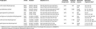 details of primers and restriction enzymes used for