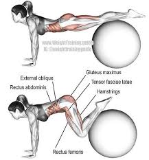 Watch morning yoga for beginners. Exercise Routines Exercise Motivation Exercise Ideas For Beginners As Well As Experienced Did You K Stability Ball Exercises Stability Ball Ball Exercises