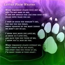 Pin By Cheryl Cappellini On Pawprints On My Heart Dog Heaven Letter From Heaven Dog Poems