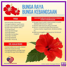It's high quality and easy to use. Facebook