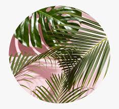 Check spelling or type a new query. Sticker Stickers Freetoedit Aesthetic Minimalism Bullet Minimalist Plant Background Aesthetic Hd Png Download Transparent Png Image Pngitem