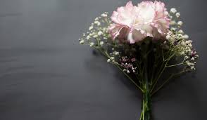 Colorful baby breath wedding bouquets. Baby S Breath Flower Meaning Symbolism And Colors