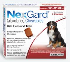 Below is a step by step process on how to combine some of the above to have an effective system to combat flea infestation, however its effectiveness will depend on the severity of the problem Nexgard For Dogs All The Facts About This Chewable Flea Treatment