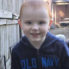 Still looking for a small-medium sized pup or young dog in Pottsville area  for support animal. I live in apartment building.