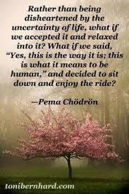 Rather Than Being Disheartened By The Uncertainty Of Life What If We Excepted It And Relaxed Into It Wha Pema Chodron Quotes Inspirational Words Pema Chodron