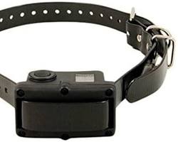 SportDOG NoBark 10R collarの画像