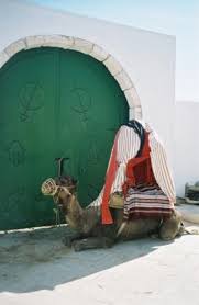 Voir L Image Une Jehfa A Dos De Chameau Au Musee De Guellala Jpg Vacances En Tunisie Djerba Tunisie
