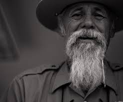 big bend, longhorn and west texas photography