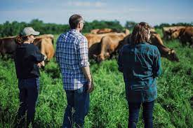Coneflower Creamery Farm To Cone Ice Cream Omaha Nebraska Creamery Omaha Nebraska