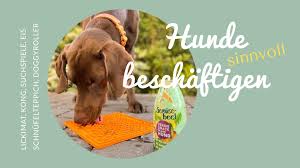 Wir suchen für balu ein geeignetes zu. Hunde Beschaftigen Mit Einer Schleckmatte Und Smoothiedog