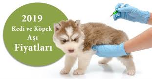 2019 Kedi Kopek Asi Ve Parazit Uygulamasi Fiyatlari Vetbilgi