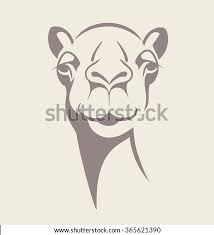 Please be sure to leave first, i outline the upper parts of the limbs; Camel Face Drawing At Getdrawings Free Download