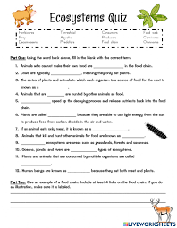 This conflict, known as the space race, saw the emergence of scientific discoveries and new technologies. Ecosystem Quiz Worksheet