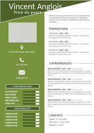 Vous verrez le modele cv se remplir automatiquement lorsque vous remplirez le formulaire. Exemple De Cv Vierge Pret A Remplir Gratuit A Telecharger