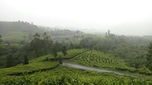 Mengunjungi tempat ngopi tersembunyi di timur bandung. Wisata Di Bandung Selatan Di Ciwidey Pangalengan Dan Majalaya