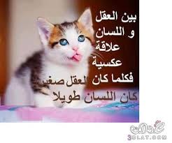 أقوال و حكم قيمة أمثال و عبر جميلة صور لأجمل كلام queen quotes love words arabic quotes