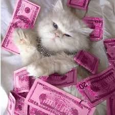 Aesthetic Pink Money Tumblr Largest Wallpaper Portal See more ideas about pink aesthetic, funny arabic quotes, funny study quotes. aesthetic pink money tumblr largest