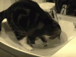 Reparer Et Regler Son Bouchon De Lavabo Bob Depannage
