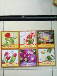 Tanaman bunga mawar putih yang harum baunya. Gambar Bunga Bahasa Arab