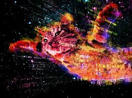 Cats In Space Wallpapers On Wallpaperdog It's where your interests connect. cats in space wallpapers on wallpaperdog
