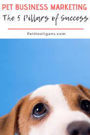 Understanding The Steps To Successful Pet Business Marketing Is Vital If You Want A Business That Thrives Pet Businesses Pet Care Business Dog Walking Business
