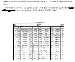 Solved Mrna Corresponding Nucleotide Replication Correspo