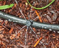 Drip irrigation systems installation guide. Adjustable Drip Emitters Drip Irrigation Dig Corporation