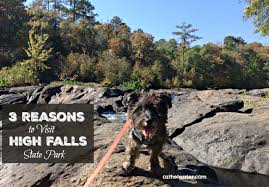 Check spelling or type a new query. 3 Reasons To Visit High Falls State Park Oz The Terrier Lifestyle Dog Blog