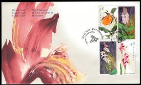 Image result for Polystachya kermesina