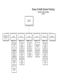 hospital organizational chart examples forms and templates