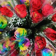 Floristería Ciempoflor