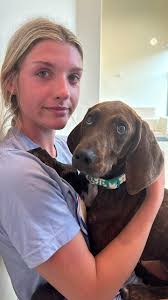 English Bulldog Rescue Needs Financial Help for Aspirated Pneumonia  Treatment