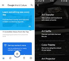 Google S Arts Culture App Taps Ai To Transform Your Photos Into Works Of Art Top Tech News Unfortunately, turning on the vpn app must be done each time before you launch the google app if you want to use the selfie feature.